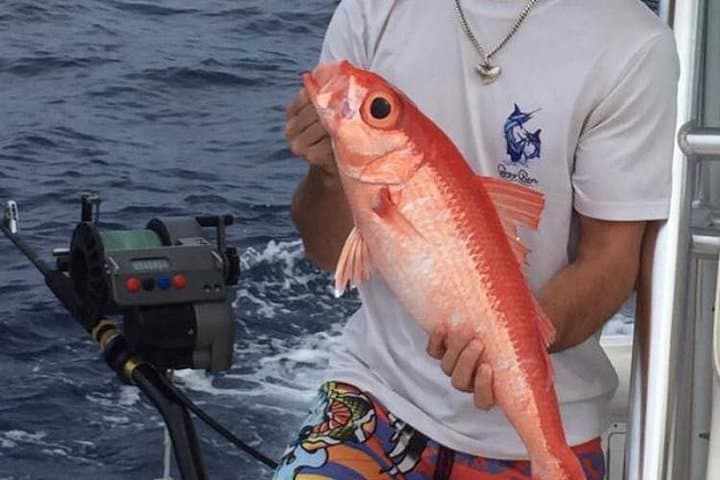 Half-Day Deep Sea & Light-Tackle Fishing from Nassau photo 5