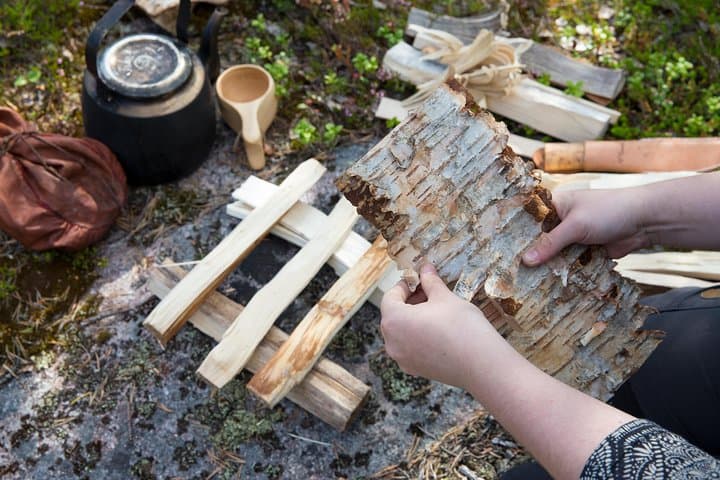 Arctic Survival Course in Rovaniemi — Shelter, Firecraft & Foraging photo 5