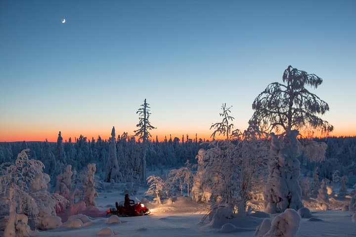 Evening Snowmobile Safari & Campfire in Rovaniemi's Arctic Forests photo 2