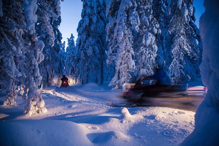 Evening Snowmobile Safari & Campfire in Rovaniemi's Arctic Forests photo 3