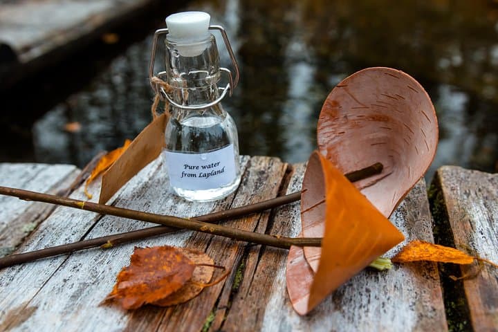 Birch Bark Cup Workshop at a Natural Spring — Rovaniemi Forest Experience photo 3