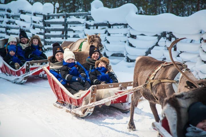 Snowmobile Safari to Reindeer Farm in Rovaniemi: Drive, Meet Reindeer, Earn a License photo 5