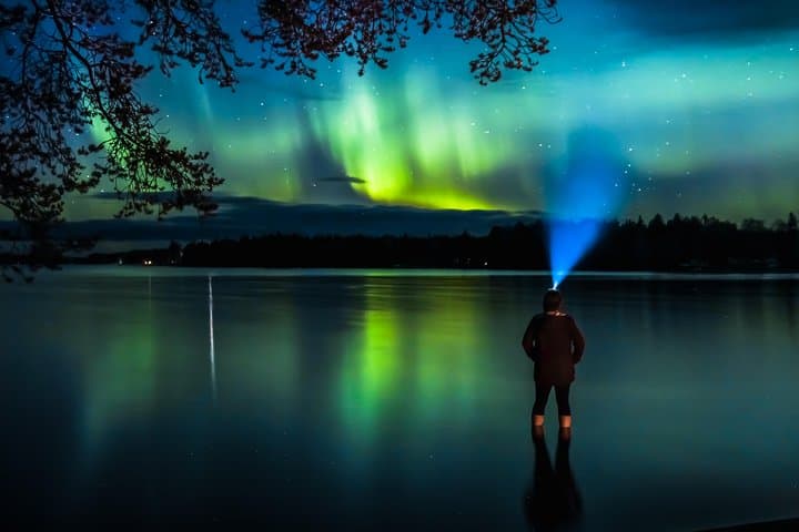 Aurora Picnic in Rovaniemi: Autumn Northern Lights by Open Fire photo 2