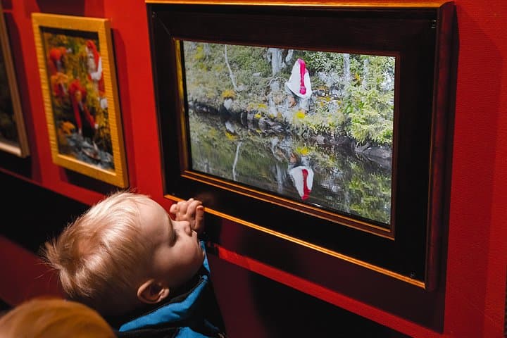 Arctic Delight: Santa Claus Village and Snowmobile Safari to Reindeer Farm photo 3