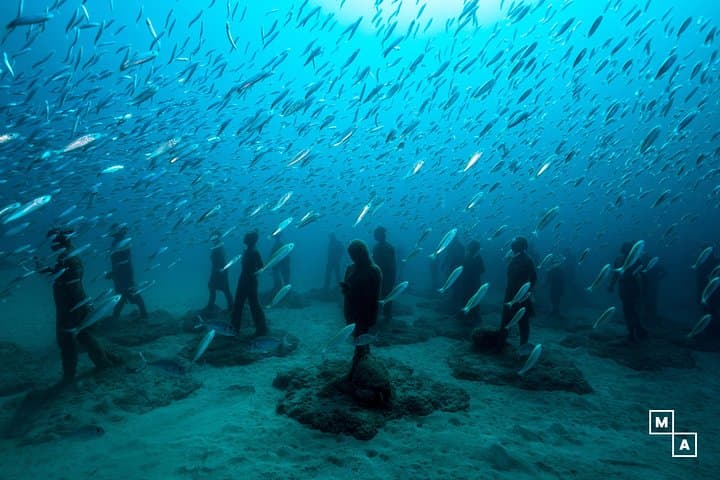Introductory Scuba Diving in Lanzarote: First-Timer Taster Dive photo 3