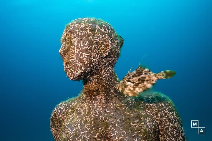 Introductory Scuba Diving in Lanzarote: First-Timer Taster Dive photo 5