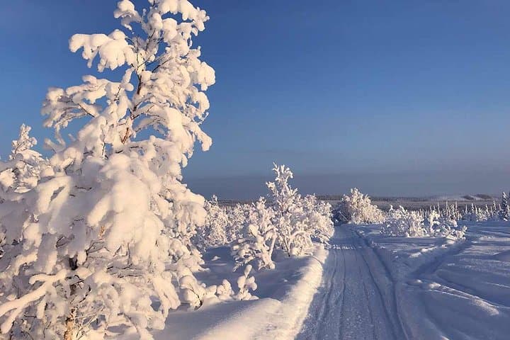 Explore the Arctic Wilderness on a Snowmobile Adventure in Kiruna photo 4