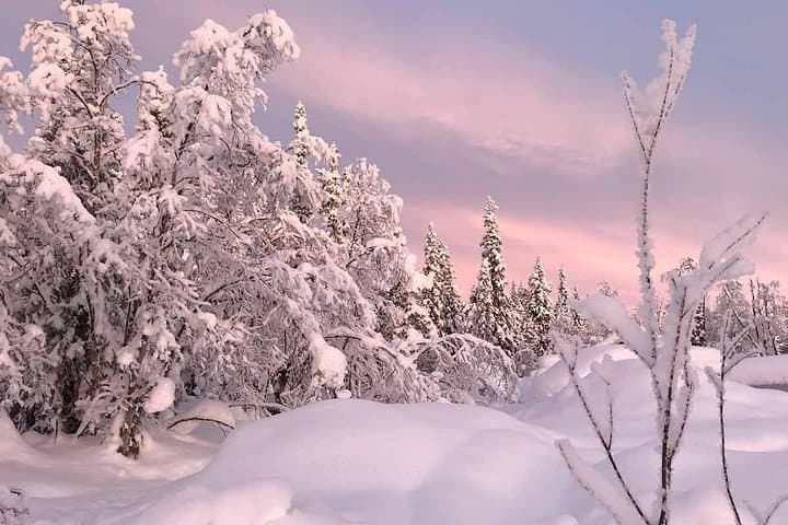Explore Arctic Wilderness on a Thrilling Afternoon Snowmobile Tour in Lapland photo 5
