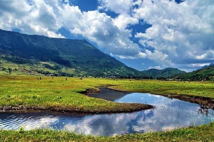 Half-Day Private Trek to Wenhai Lake from Lijiang — Jade Dragon Snow Mountain Meadows Hike photo 2