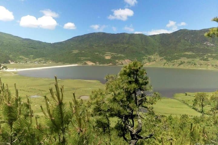 Half-Day Private Trek to Wenhai Lake from Lijiang — Jade Dragon Snow Mountain Meadows Hike photo 4