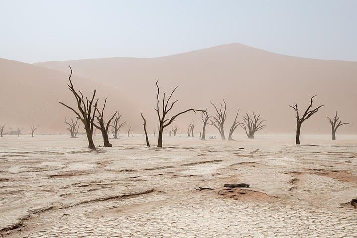 10-Day Namibia Guided Lodge Safari: Etosha, Namib Dunes & Coastal Wildlife