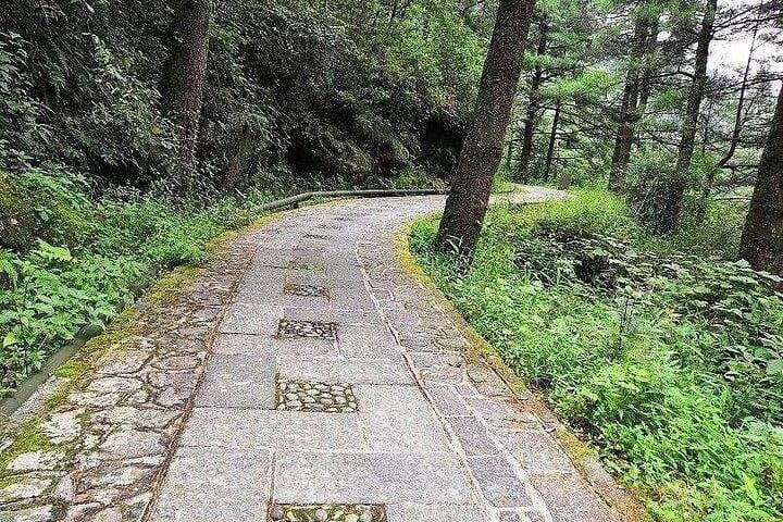 Cangshan Mountain Private Hiking Tour from Dali — Jade Belt Road & Gantong Cable Car photo 3
