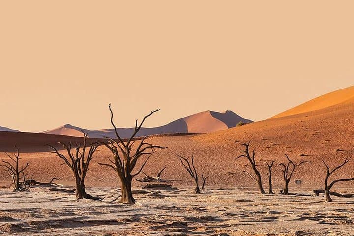 10-Day Namibia Guided Lodge Safari: Etosha, Namib Dunes & Coastal Wildlife photo 2