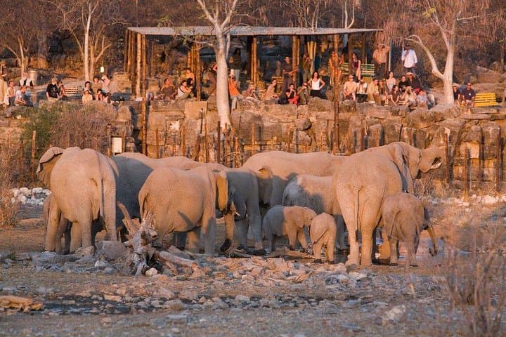 10-Day Namibia Guided Lodge Safari: Etosha, Namib Dunes & Coastal Wildlife photo 3