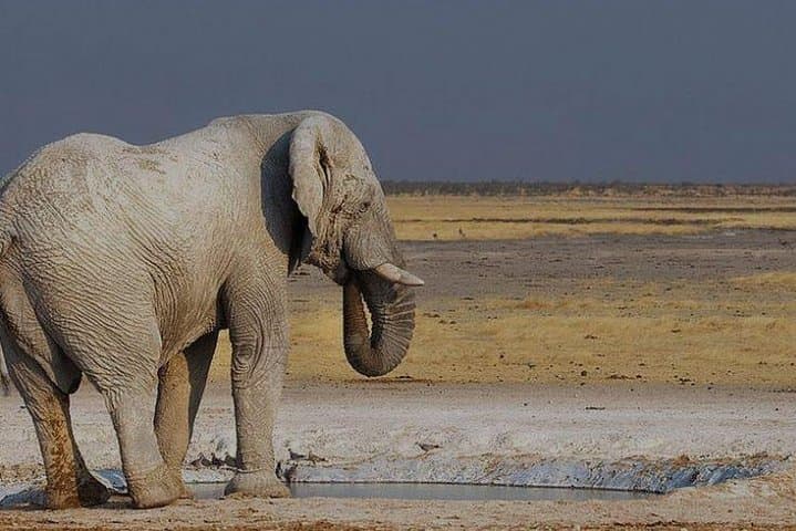 12-Day Namibia In Plus Guided Lodge Tour: Etosha, Sossusvlei & Coastal Wonders photo 2