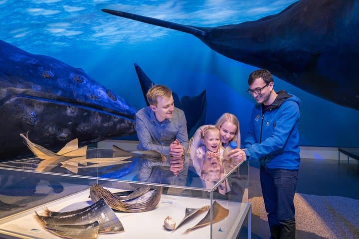 Northern Lights Boat Tour from Reykjavík — Cruise Faxaflói Bay with Backup Plan photo 4