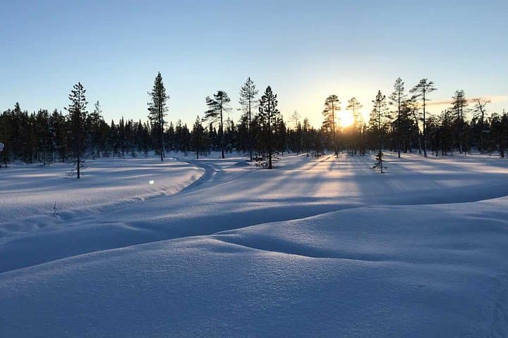 Explore Arctic Wilderness on a Thrilling Afternoon Snowmobile Tour in Lapland photo 2
