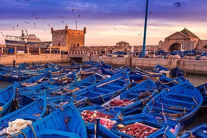 Essaouira Day Trip From Marrakech: Coastal Medina, Skala Ramparts & Fresh Fish photo 2