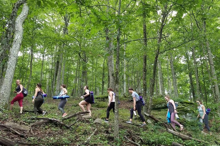 Asheville Mountaintop Yoga Hike on Bearwallow Mountain: Blue Ridge Views, Breath, and Balance photo 5