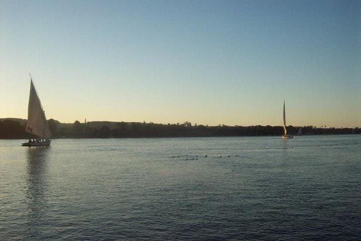 Felucca Sailing on the Nile in Cairo: Private 2–3 Hour Egyptologist-Guided Trip photo 6
