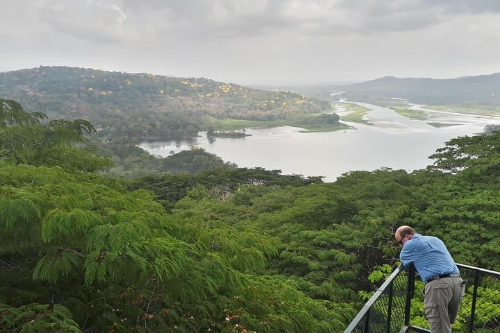 Gamboa Rainforest Experience: Aerial Tram & Wildlife near the Panama Canal photo 4