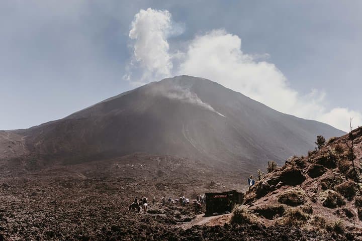 Climb Pacaya Volcano from Guatemala City: Shared Guided Hike to the Summit photo 3