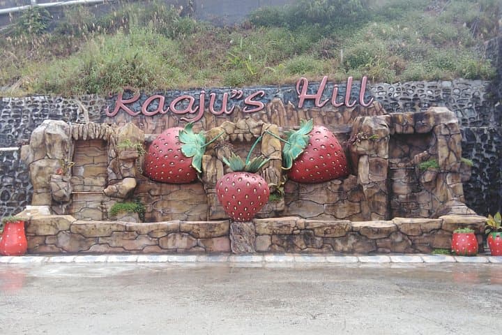 Cameron Highlands Private Day Tour: Tea Plantations, Markets & Highlands Farms photo 2