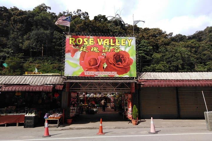 Cameron Highlands Private Day Tour: Tea Plantations, Markets & Highlands Farms photo 3