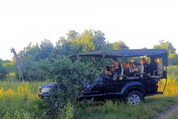 Chobe Full-Day Safari: River Cruise & Game Drive from Kasane