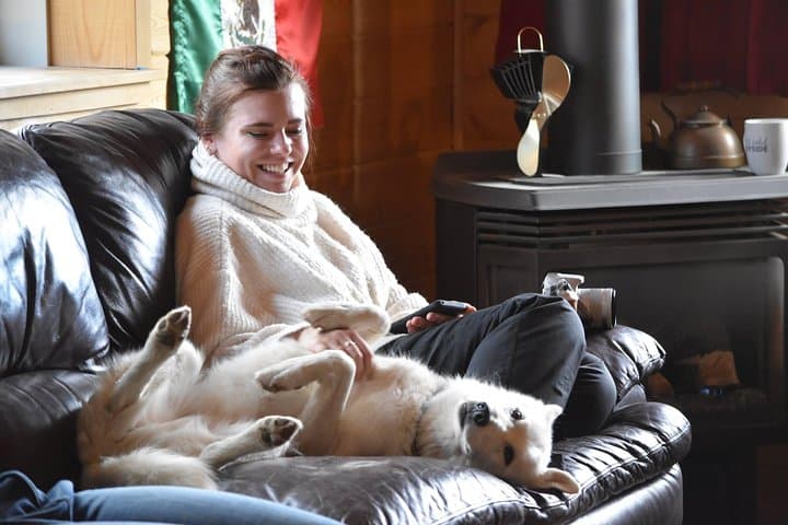 Northern Lights and Huskies: Aurora Lodge on the Takhini River