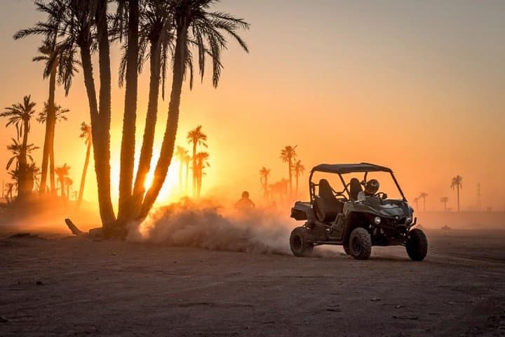 Buggy Through Marrakech's Palm Grove: Off-Road Palmeraie Exploration photo 5
