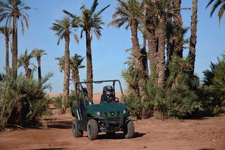 Buggy Through Marrakech's Palm Grove: Off-Road Palmeraie Exploration photo 6