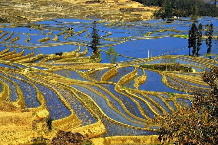 4-Day Private Tour: Stone Forest, Yuanyang Terraces & Jianshui Ancient Town from Kunming
