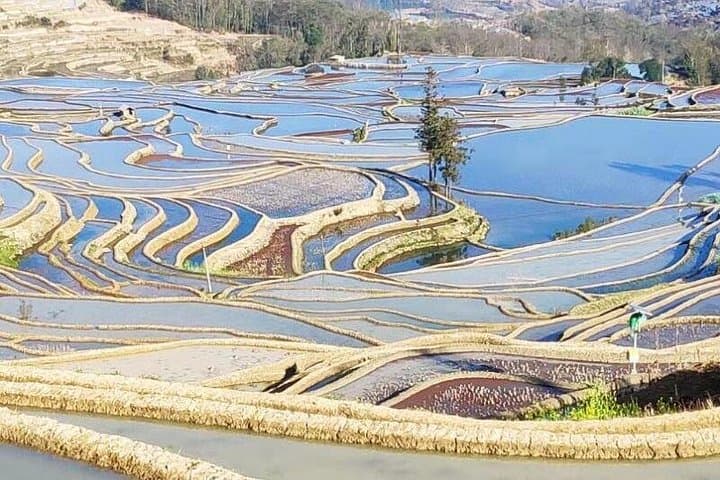 4-Day Private Tour: Stone Forest, Yuanyang Terraces & Jianshui Ancient Town from Kunming photo 3
