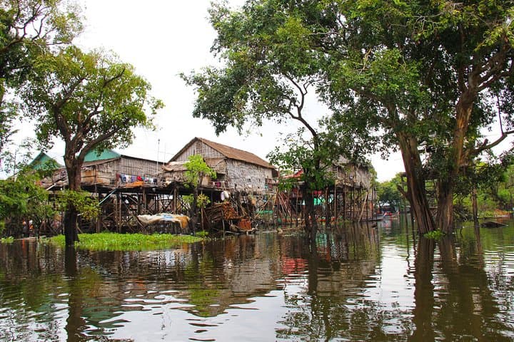 Bird Watching at Tonle Sap’s Inundated Forest: Full-Day Prek Toal Sanctuary Tour photo 5