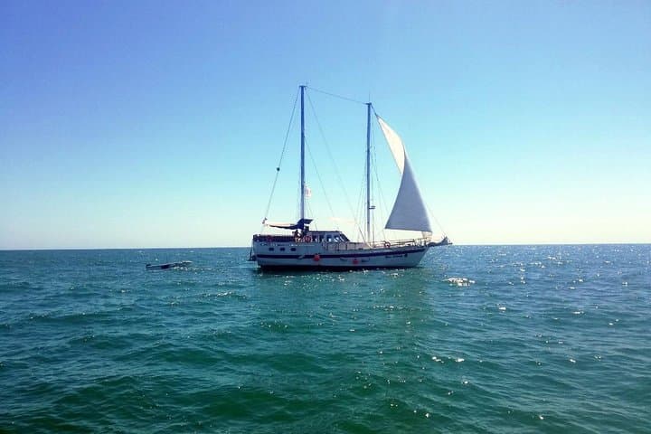 Black Sea Yacht Picnic from Balchik: Swim, Sun & Botanical-Garden Views photo 4