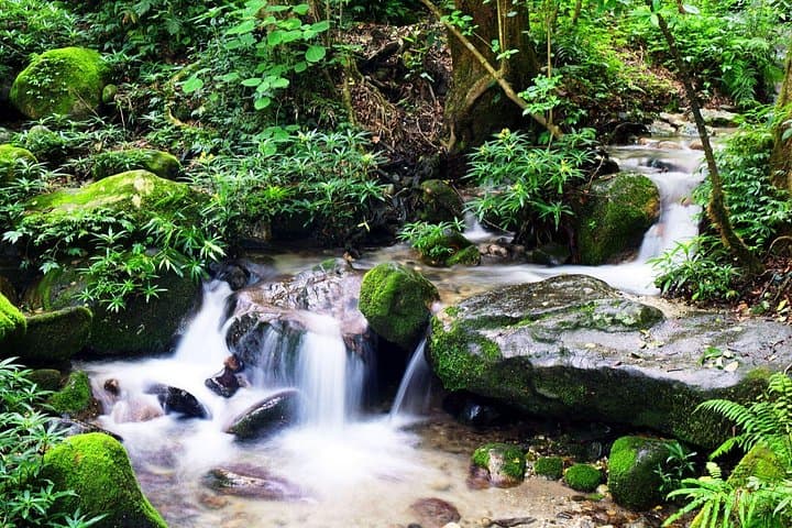Shivapuri to Baghdwar Day Hike — Nagi Gumba, Bagmati Spring & Peak Views photo 1