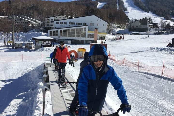 Snow Monkeys & Shiga Kogen Snow Play: Full-Day Tour from Yudanaka photo 5