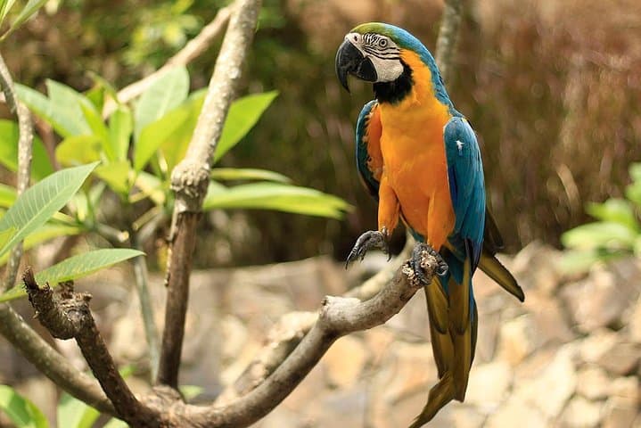 Inside Lombok Wildlife Park: Elephants, Orangutans & Rainforest Breakfast photo 3