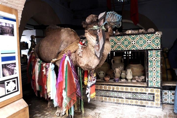 2-Day Tunis to Sahara Desert Tour with Overnight Tent in Douz photo 6