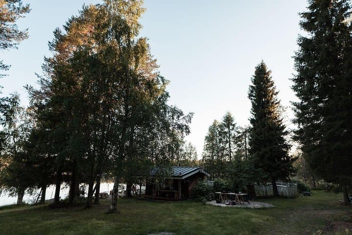 Fire, Ice & BBQ: Authentic Finnish Sauna on an Arctic Lake near Rovaniemi photo 4