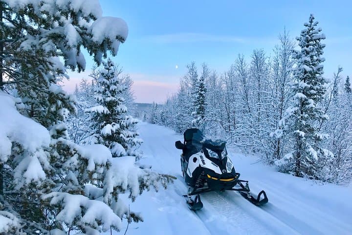 Explore Arctic Wilderness on a Kiruna Snowmobile Exclusive Tour