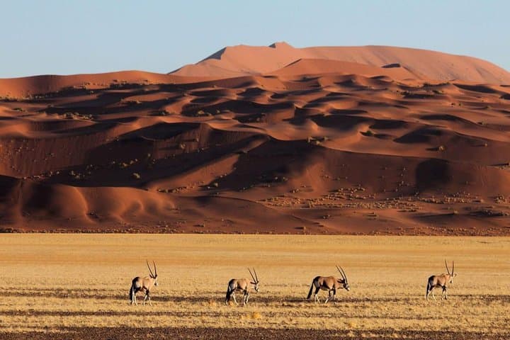 15 Days All About Namibia: Guided Lodge Safari from Windhoek to the Namib photo 2