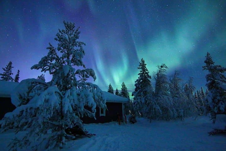 Snowmobile Aurora Expedition in Swedish Lapland: Northern Lights & Lappish Dinner photo 4