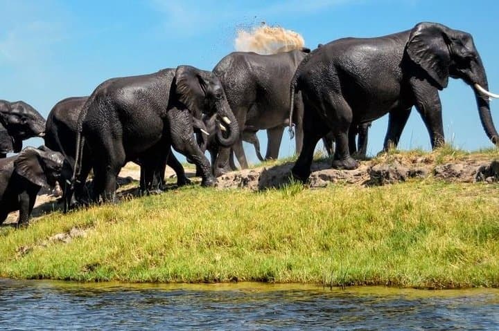 15-Day Namibia and Botswana Guided Lodge Safari — Sossusvlei to Chobe