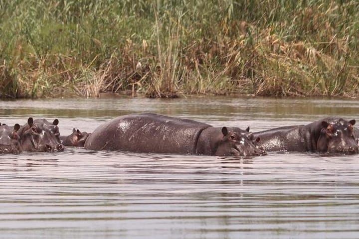 15-Day Namibia and Botswana Guided Lodge Safari — Sossusvlei to Chobe photo 6