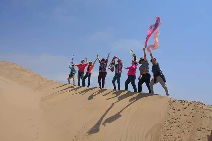 Sandwich Harbour 4x4 Dune Drive: Half-Day Coastal Safari from Walvis Bay