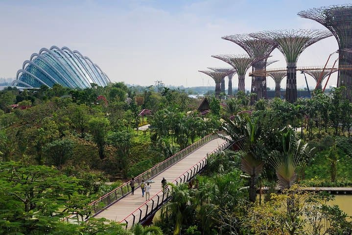 One-Day Singapore Highlights: Gardens by the Bay, Flyer & River Cruise photo 2