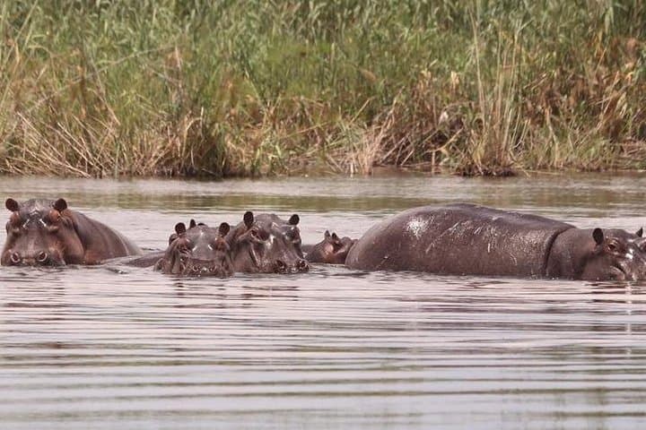 Desert to Water: 15-Day Namibia, Botswana & Zimbabwe Guided Lodge Safari photo 2