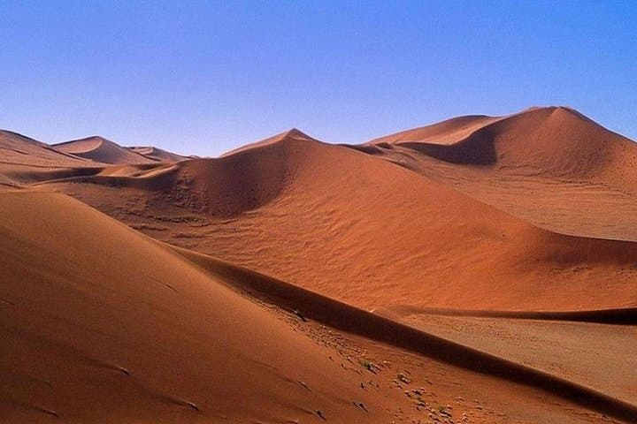 Desert to Water: 15-Day Namibia, Botswana & Zimbabwe Guided Lodge Safari photo 6
